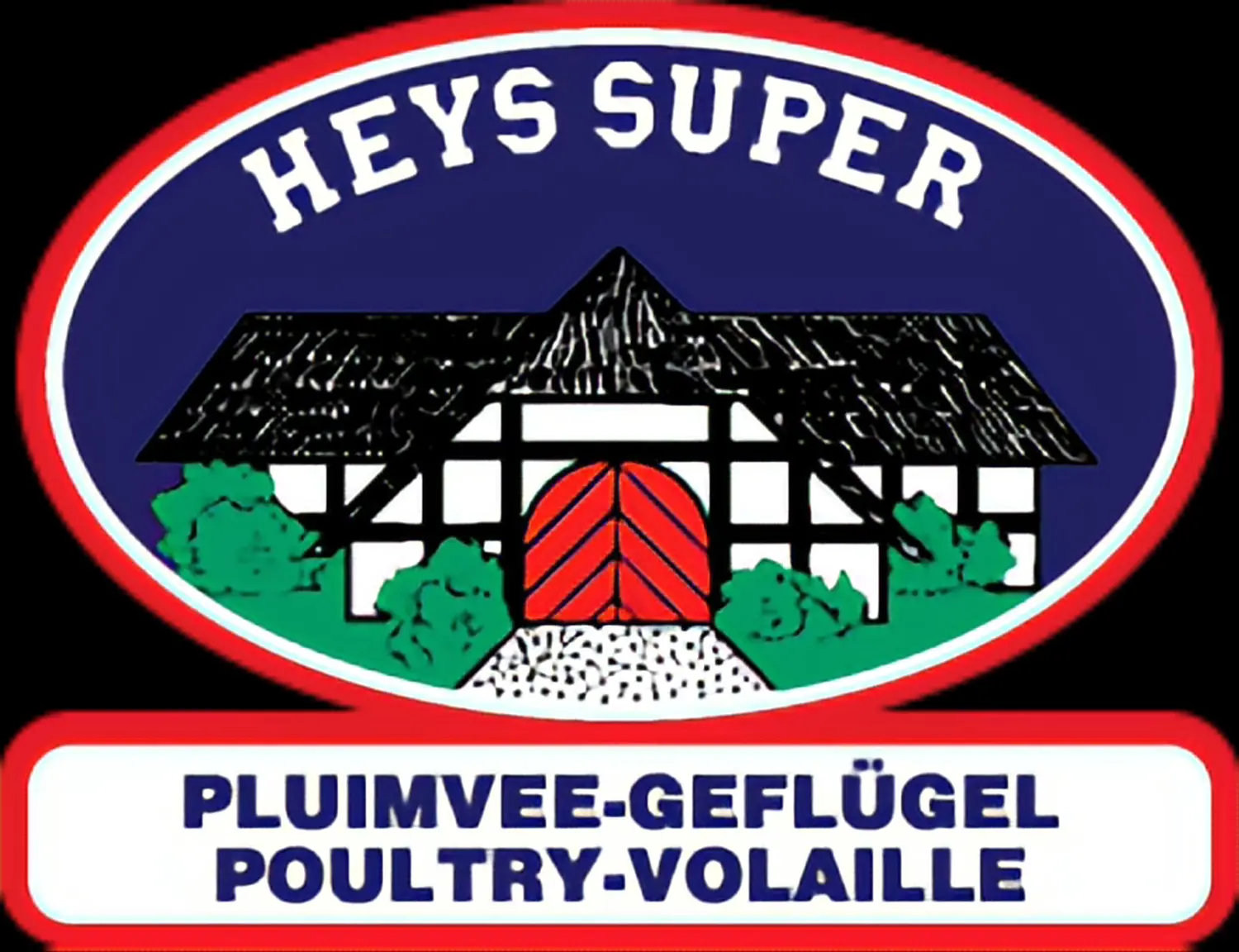 HEYS SUPER Logo